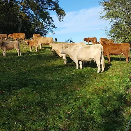 Ferienwohnung Naturpur * Langwieden