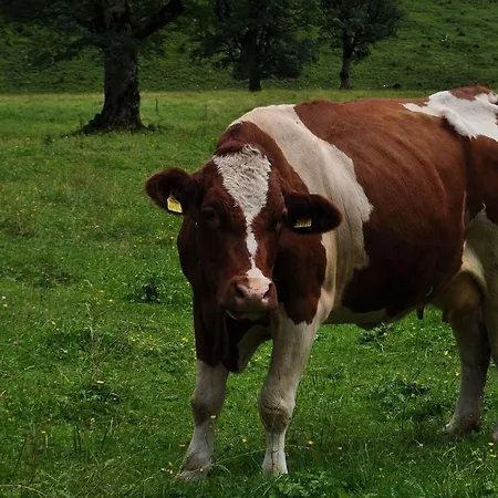 Ferienwohnung Naturpur Langwieden
