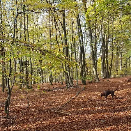 Ferienwohnung Naturpur Appartement Langwieden